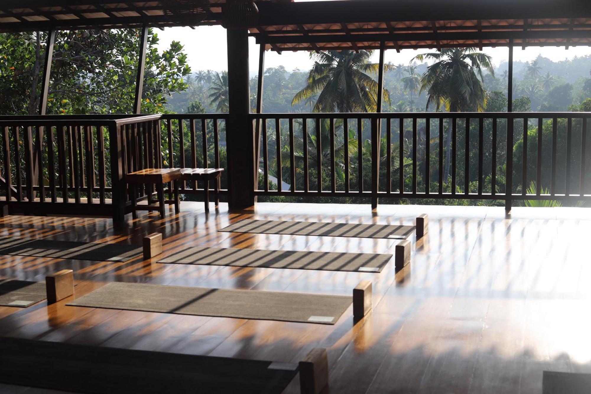 The Jungle View Mirissa Exterior foto